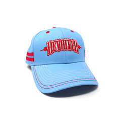 //merch.devolverdigital.co/cdn/shop/products/HARRY-HAT_0002_DevolverHat_1024x1024.png?v=1602071920 Devolver Digital "Harry Hat"