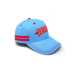 //merch.devolverdigital.co/cdn/shop/products/HARRY-HAT_0003_Background_1024x1024.png?v=1602071920 Devolver Digital "Harry Hat"